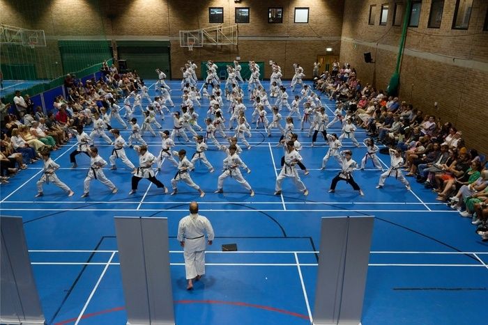 Exceptional Martial Arts Classes for Your Body and Mind