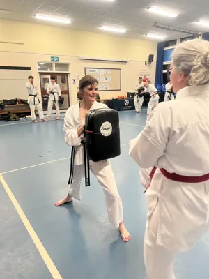 Adult Kick-Fit
