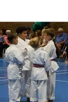 Little Dragons (4-6)